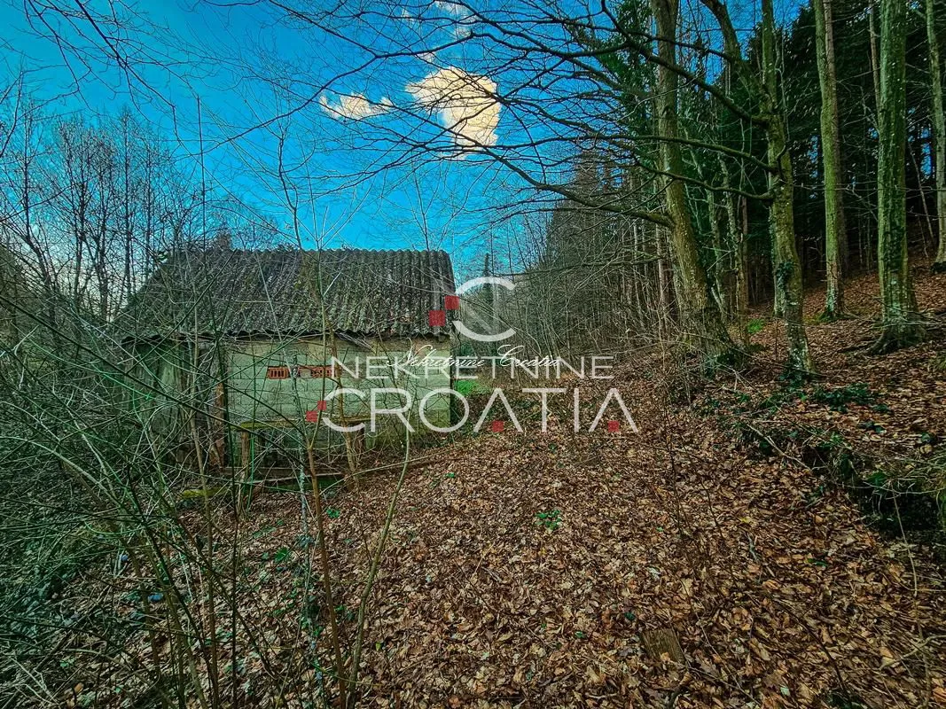 podnožje ivanščice! sa izvorom vode!!! - slika 2