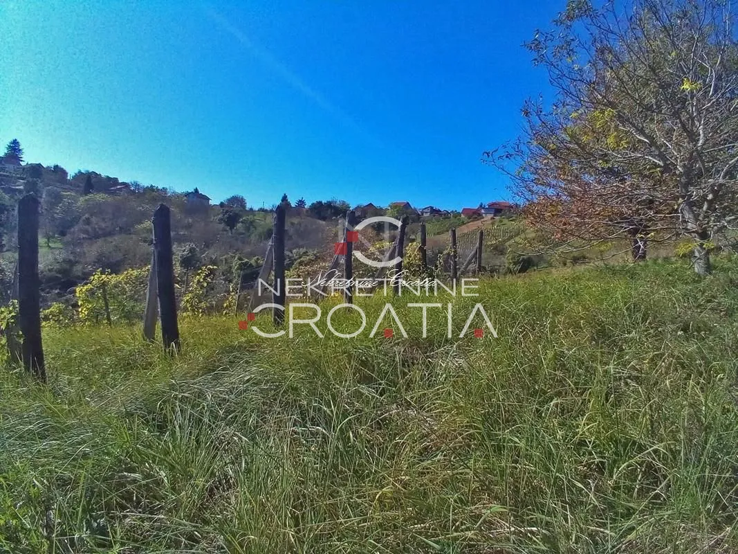 vrtlinovec, vinograd i voćnjak - slika 3