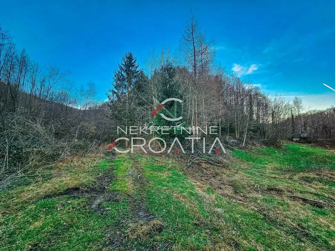 podnožje ivanščice! sa izvorom vode!!! - slika 9