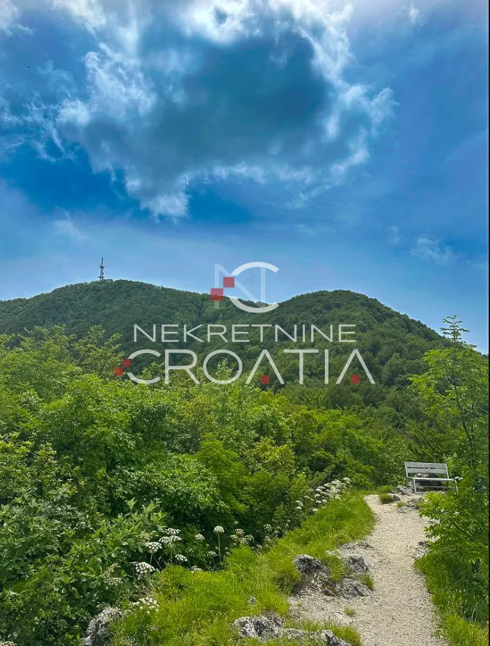 šuma 11.142 m2, ivanščica! - slika 12