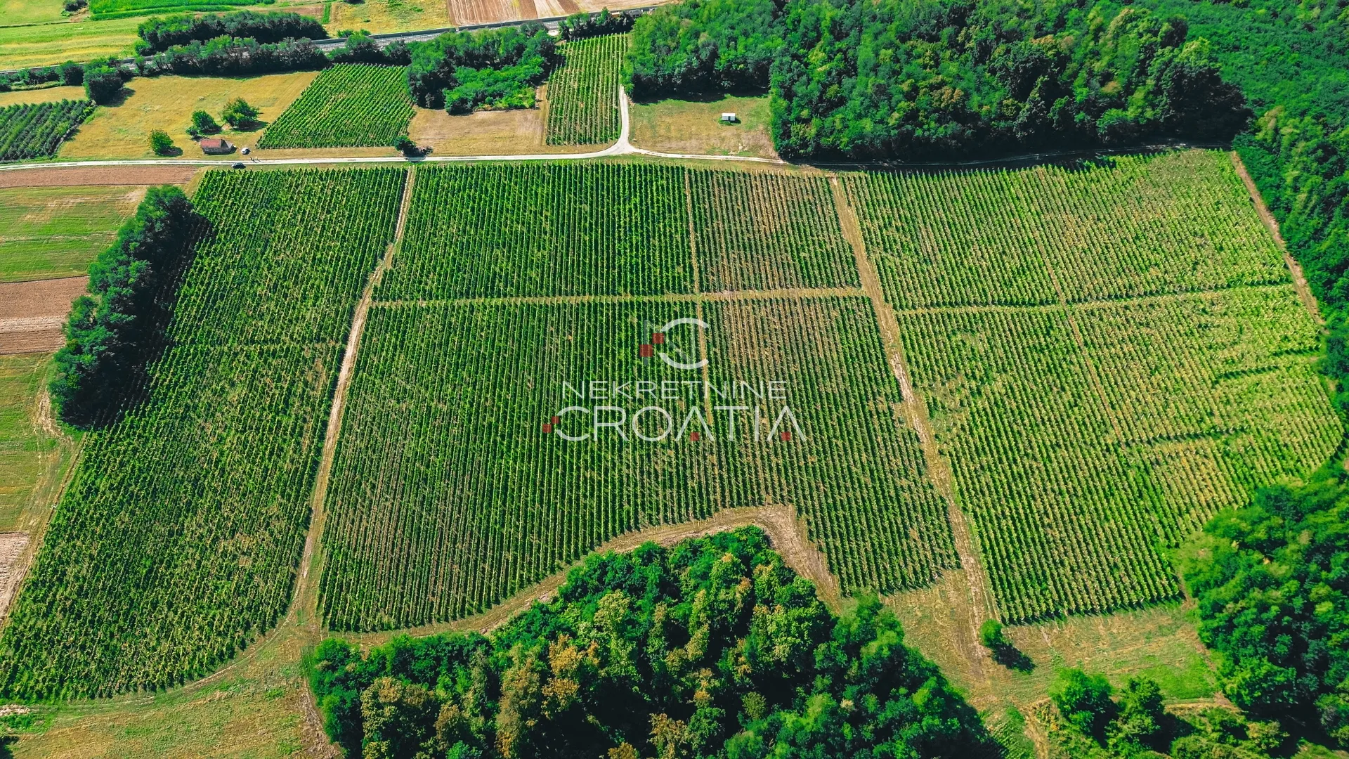 PRILIKA! 105.333 m2 VINOGRADA, 4.75 EUR/m2! - Carevdar, Križevci