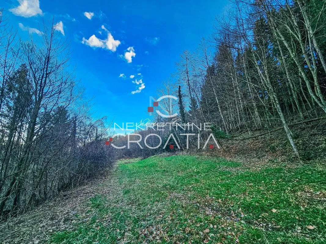 podnožje ivanščice! sa izvorom vode!!! - slika 3