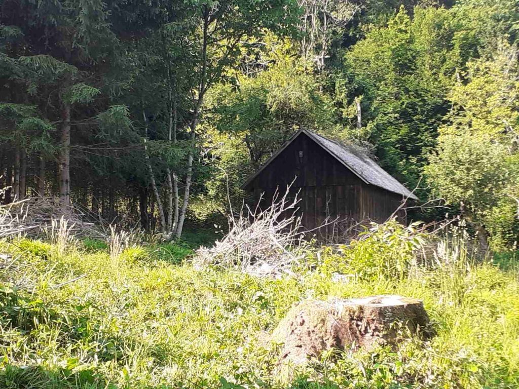 gorski kotar, kupska dolina, kuća sa gospodarskim objektom i zemljištem od 2385 m2 - slika 6