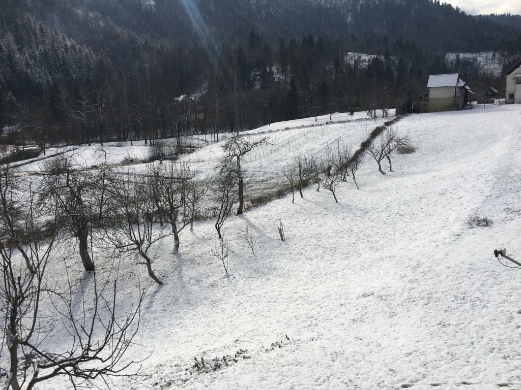gorski kotar, zemljište prodaja - slika 2