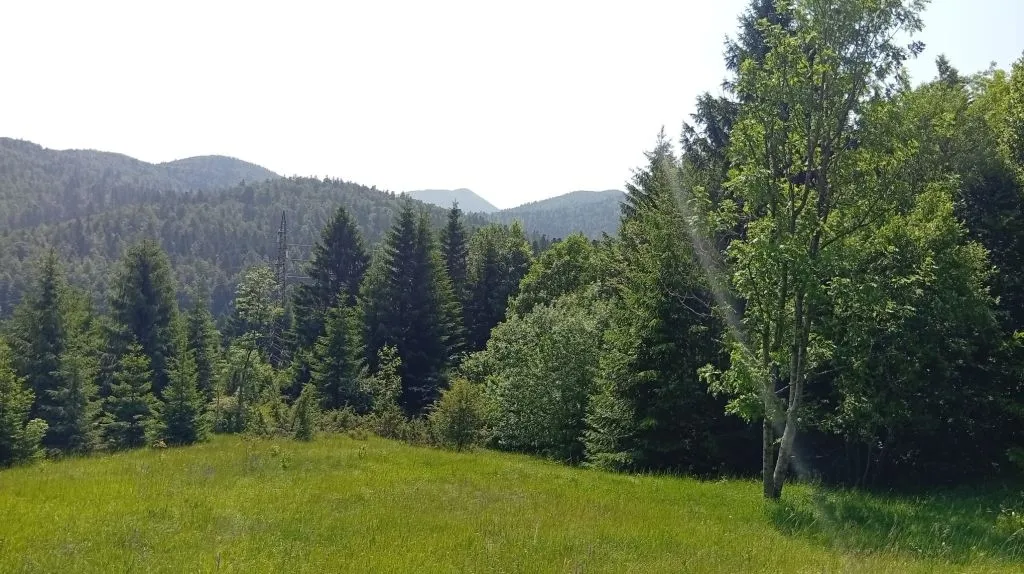 gorski kotar, zemljište s dozvolom prodaja - slika 2