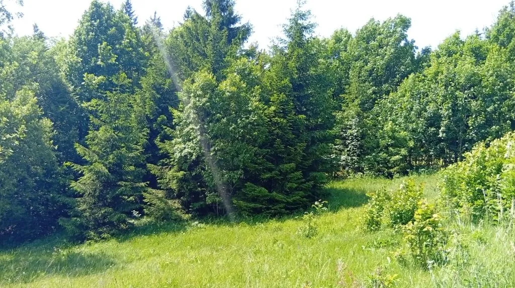 gorski kotar, zemljište s dozvolom prodaja - slika 3