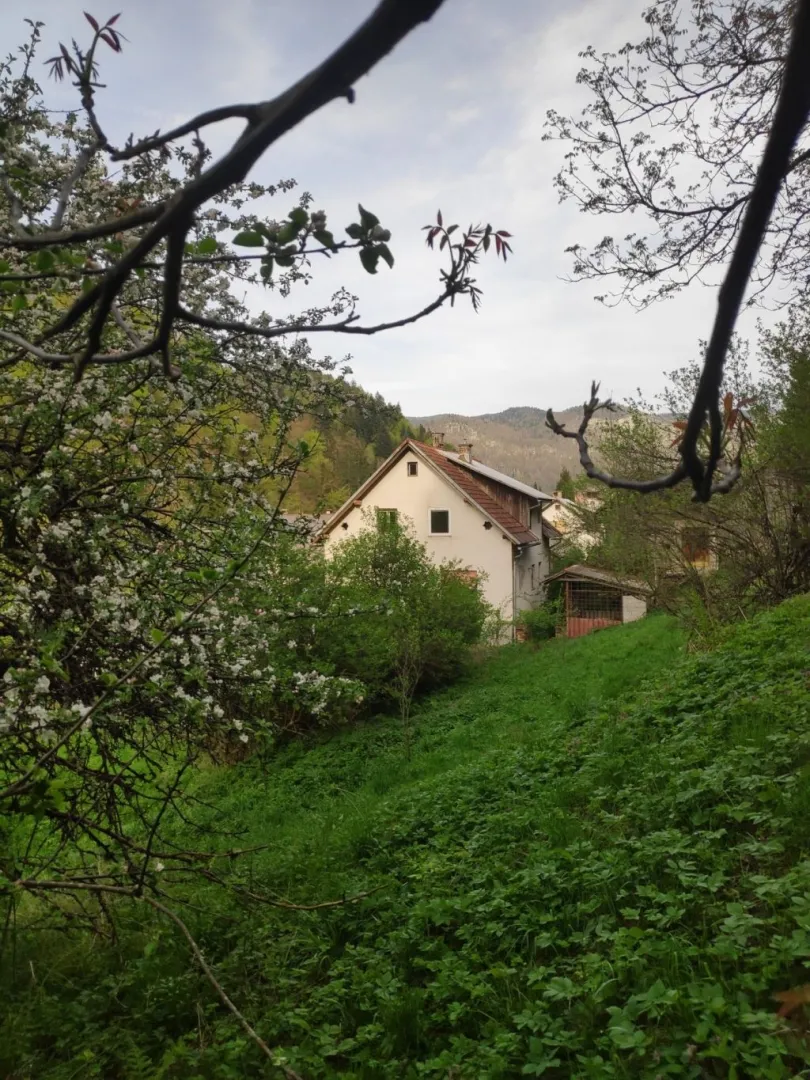 gorski kotar, čabar, prodaja dvije kuće - slika 25