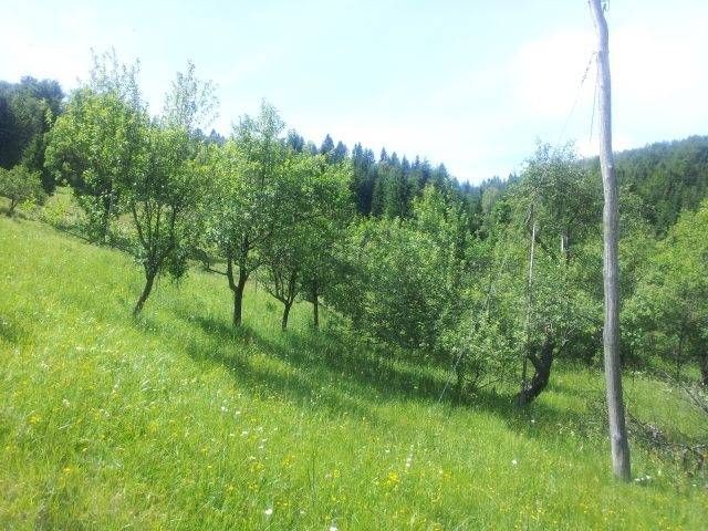 gorski kotar, prodaja dvije kuće s velikom okućnicom - slika 17