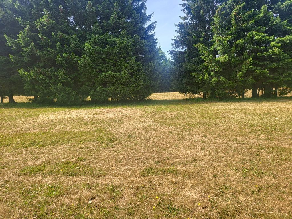 gorski kotar, mrkopaljski kraj, 9574 m2 zemljišta prodaja - slika 2