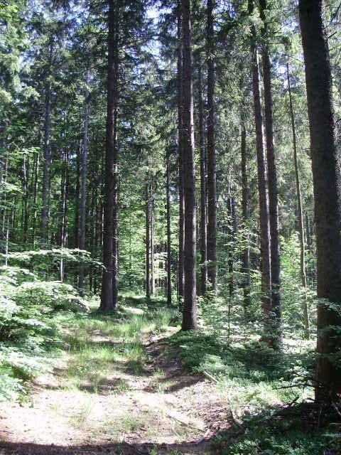 Gorski kotar, Ravna Gora, poljoprivredno zemljište prodaja