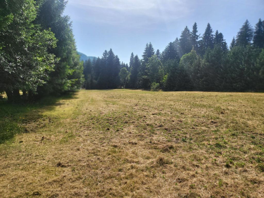 gorski kotar, mrkopaljski kraj, 9574 m2 zemljišta prodaja - slika 5
