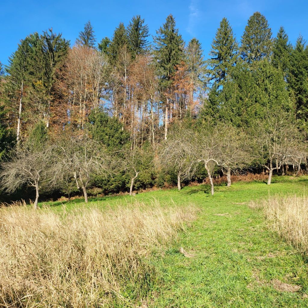 gorski kotar, skrad okolica, zemljište prodaja - slika 2