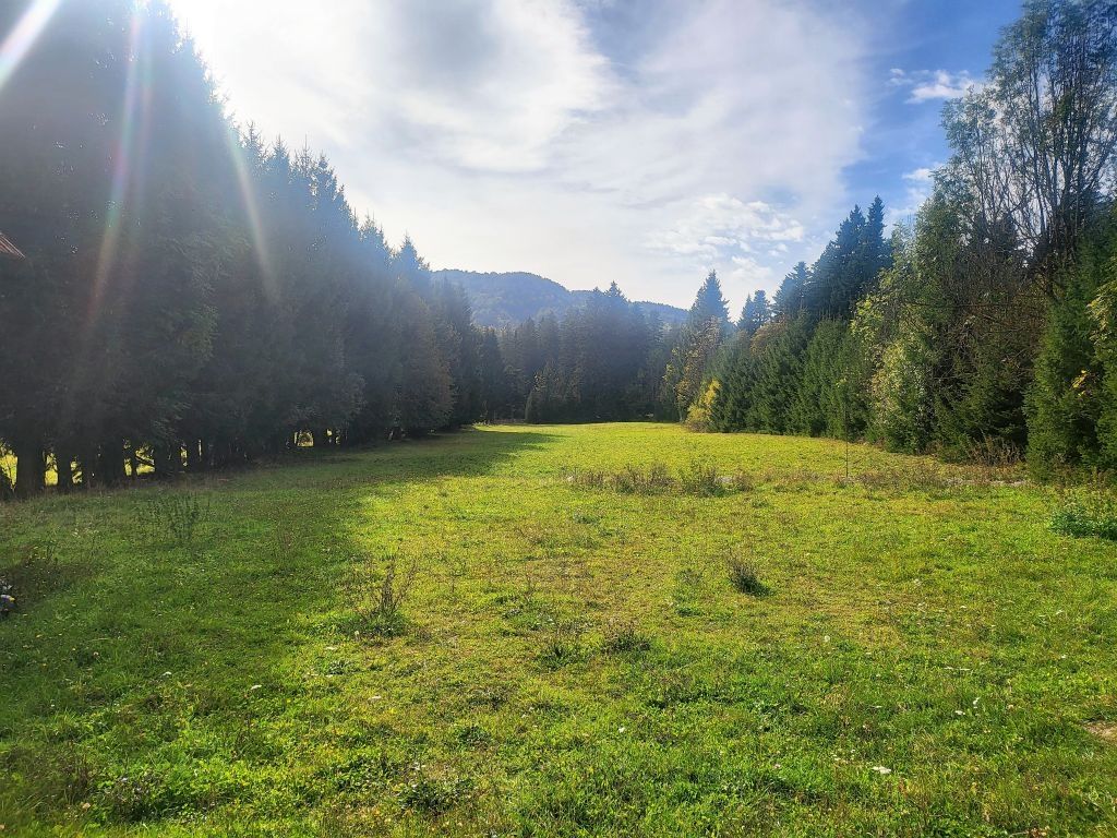 gorski kotar, mrkopaljski kraj, 9574 m2 zemljišta prodaja - slika 6