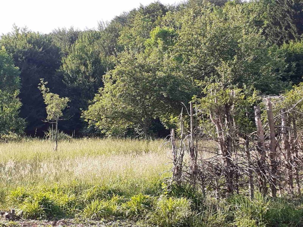 gorski kotar, kupska dolina, kuća sa gospodarskim objektom i zemljištem od 2385 m2 - slika 19