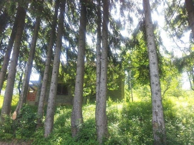 gorski kotar, prodaja dvije kuće s velikom okućnicom - slika 16