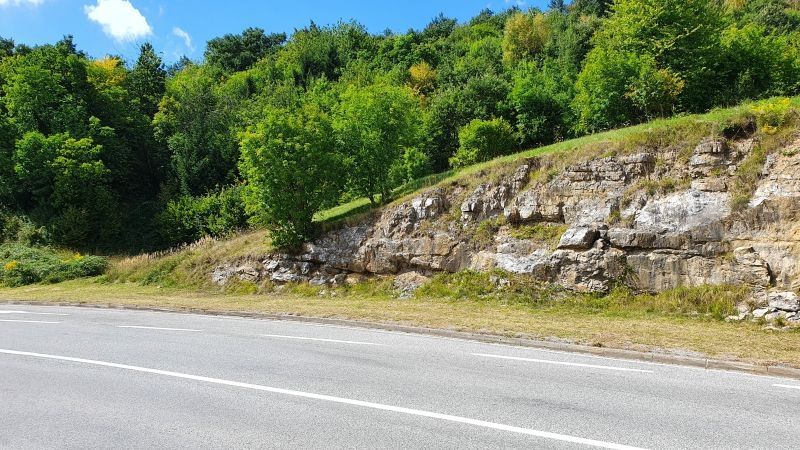 gorski kotar, vrbovsko, zemljište prodaja - slika 2