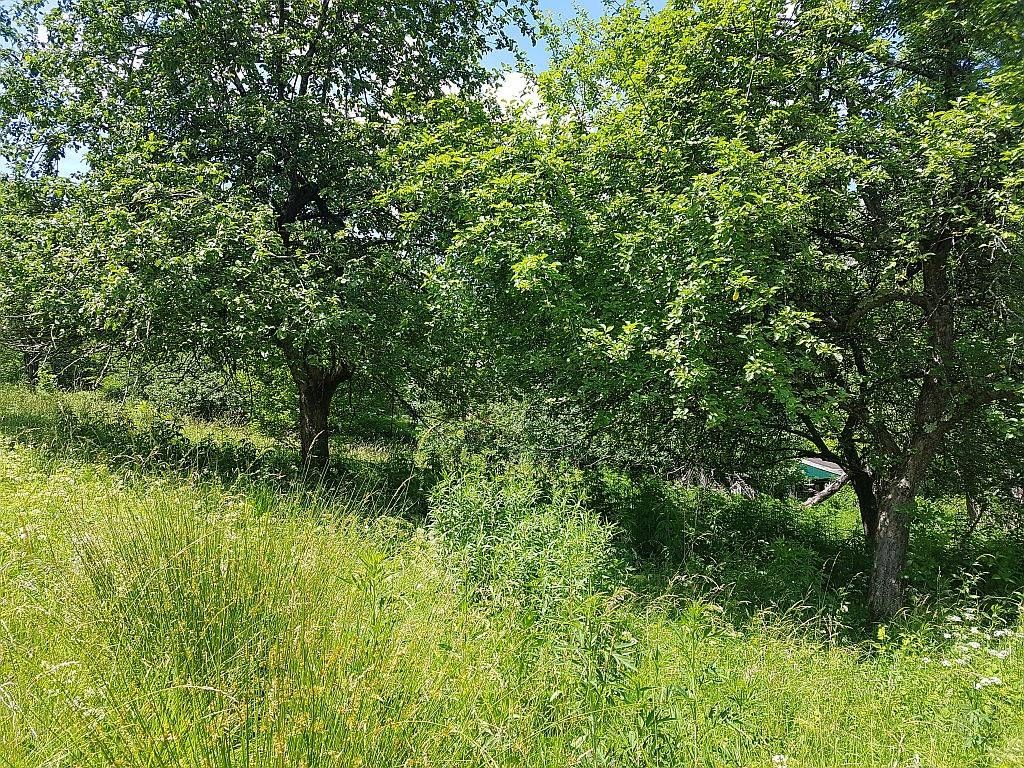 gorski kotar, kupska dolina gređ. zemljište - slika 5