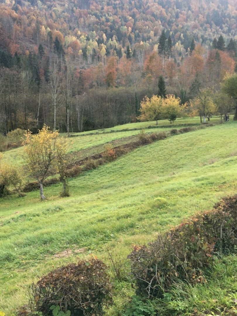 Gorski kotar, zemljište prodaja - Moravice, Vrbovsko