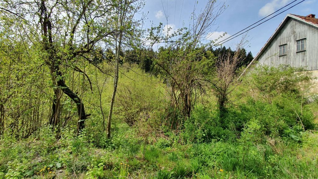 gorski kotar, starija kuća sa okućnicom do potoka - slika 7