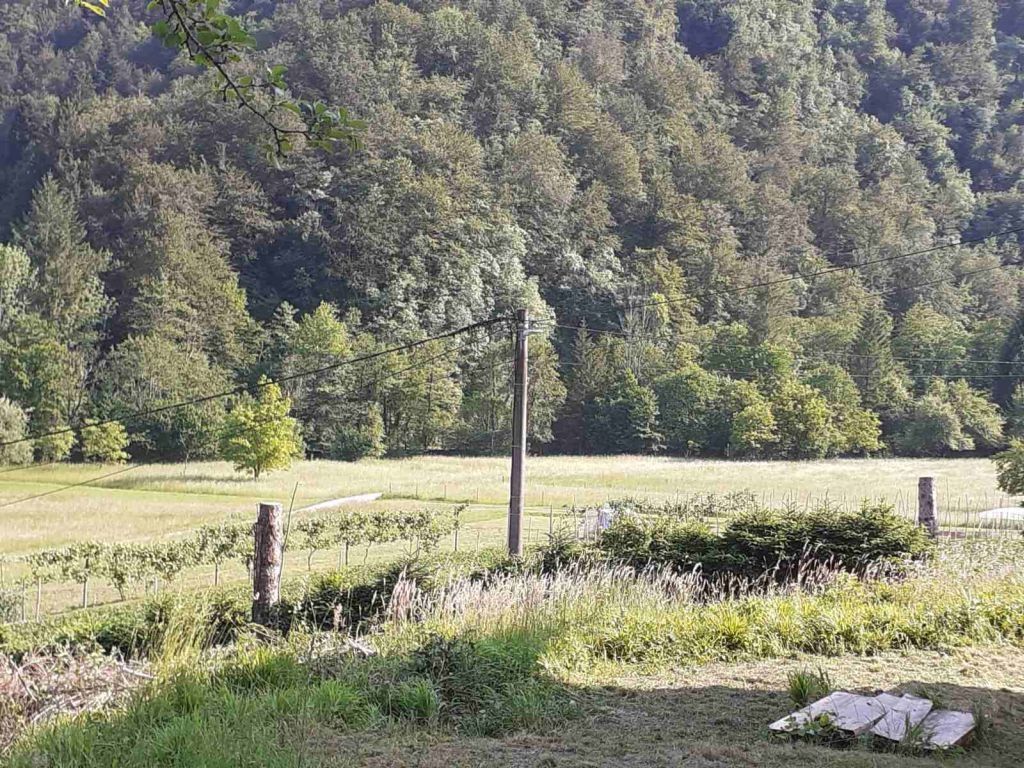 gorski kotar, kupska dolina, kuća sa gospodarskim objektom i zemljištem od 2385 m2 - slika 17