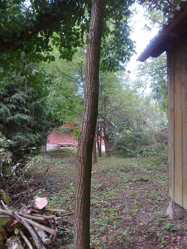 gorski kotar, kupska dolina, kuća sa gospodarskim objektom i zemljištem od 2385 m2 - slika 8