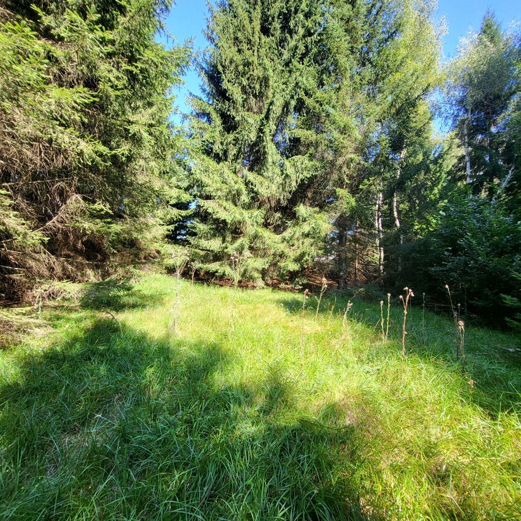 Gorski kotar, Hlevci, građevinsko zemljište - Hlevci, Skrad