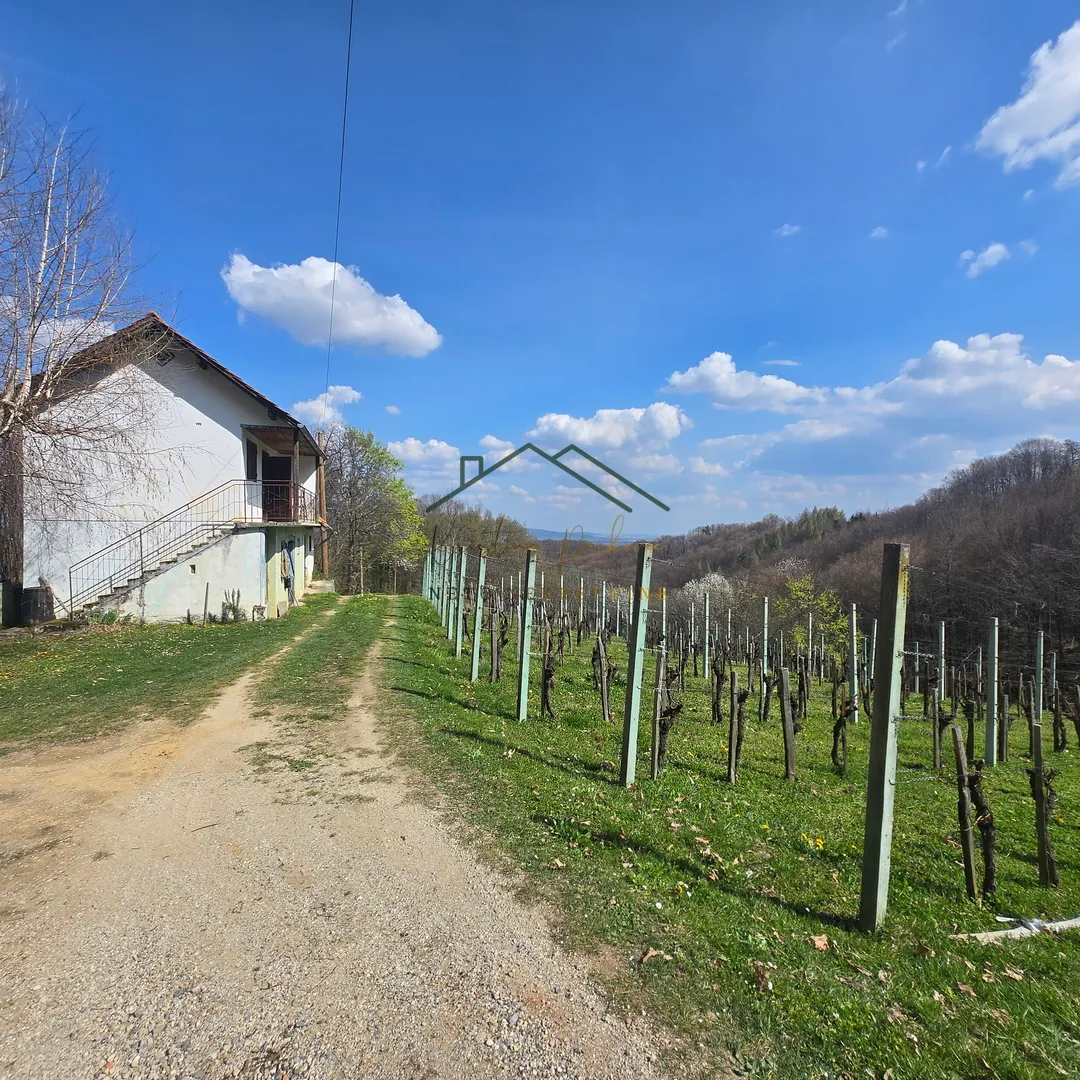 vikendica za renovaciju u mirnom okruženju – kožlak, samobor - slika 6