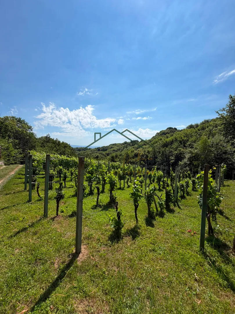 građevinsko zemljište - vikend zona - slika 2