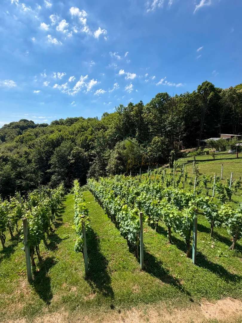 građevinsko zemljište - vikend zona - slika 5