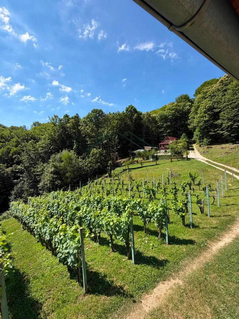 Građevinsko Zemljište - Vikend Zona - Podvrh, Samobor