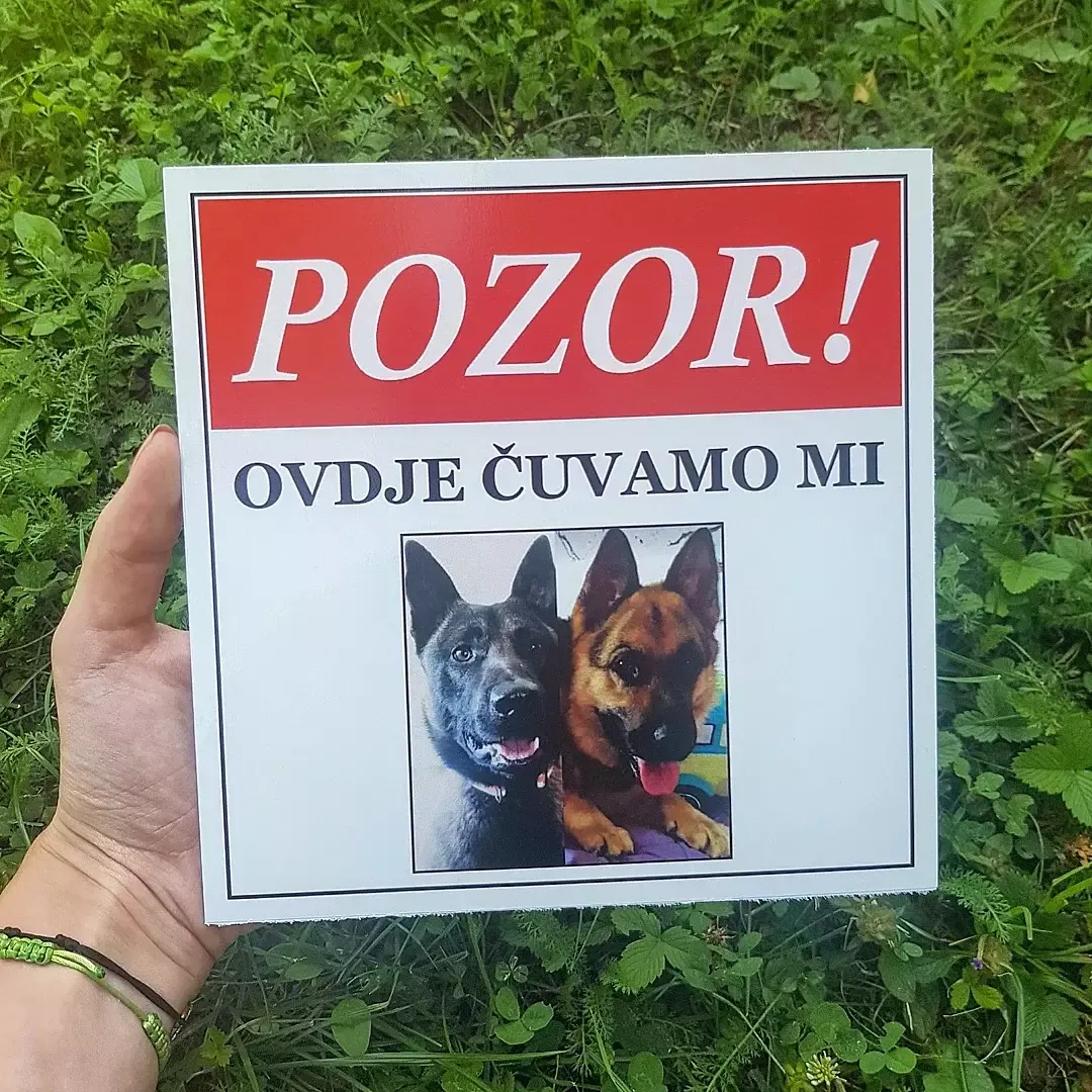 table oštar pas - slika 7