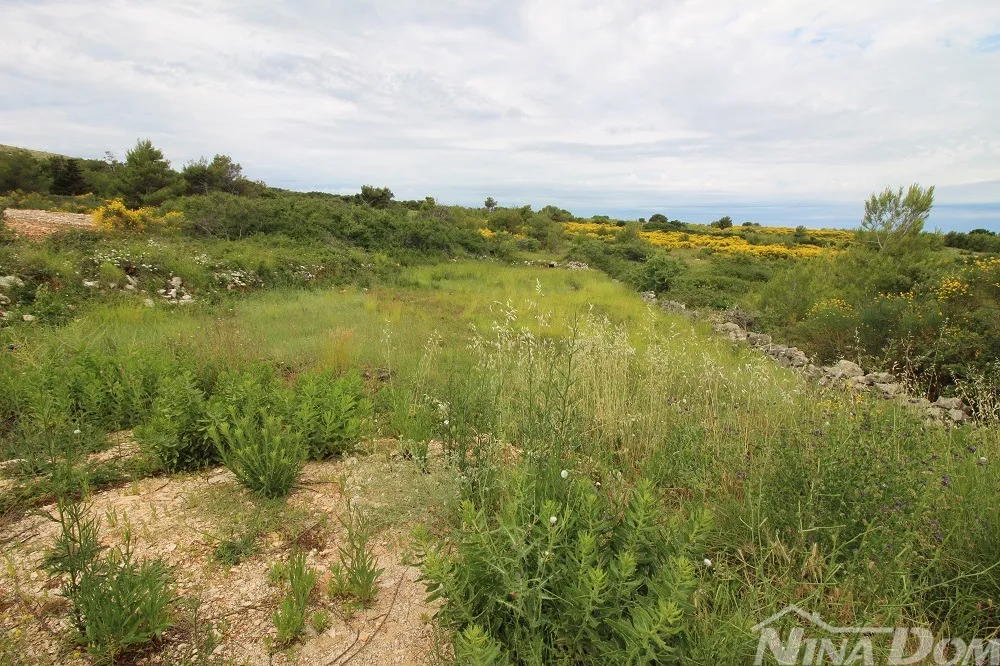 poljoprivredno zemljište 760 m2 - slika 4