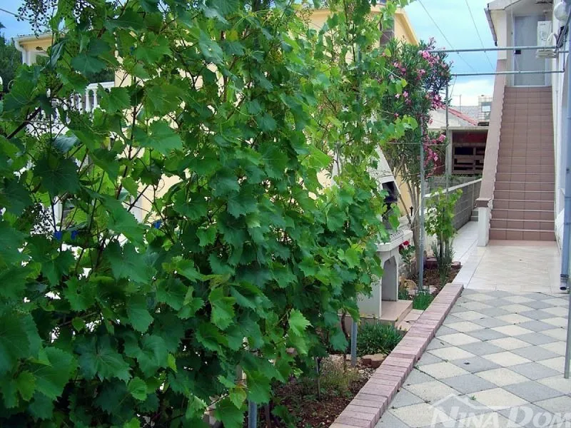 vir južna strana 3stambene jedinice 150 met.do mora - slika 20