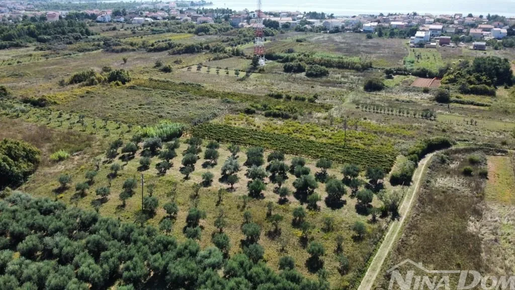 maslinik blizina centra privlaka - slika 9