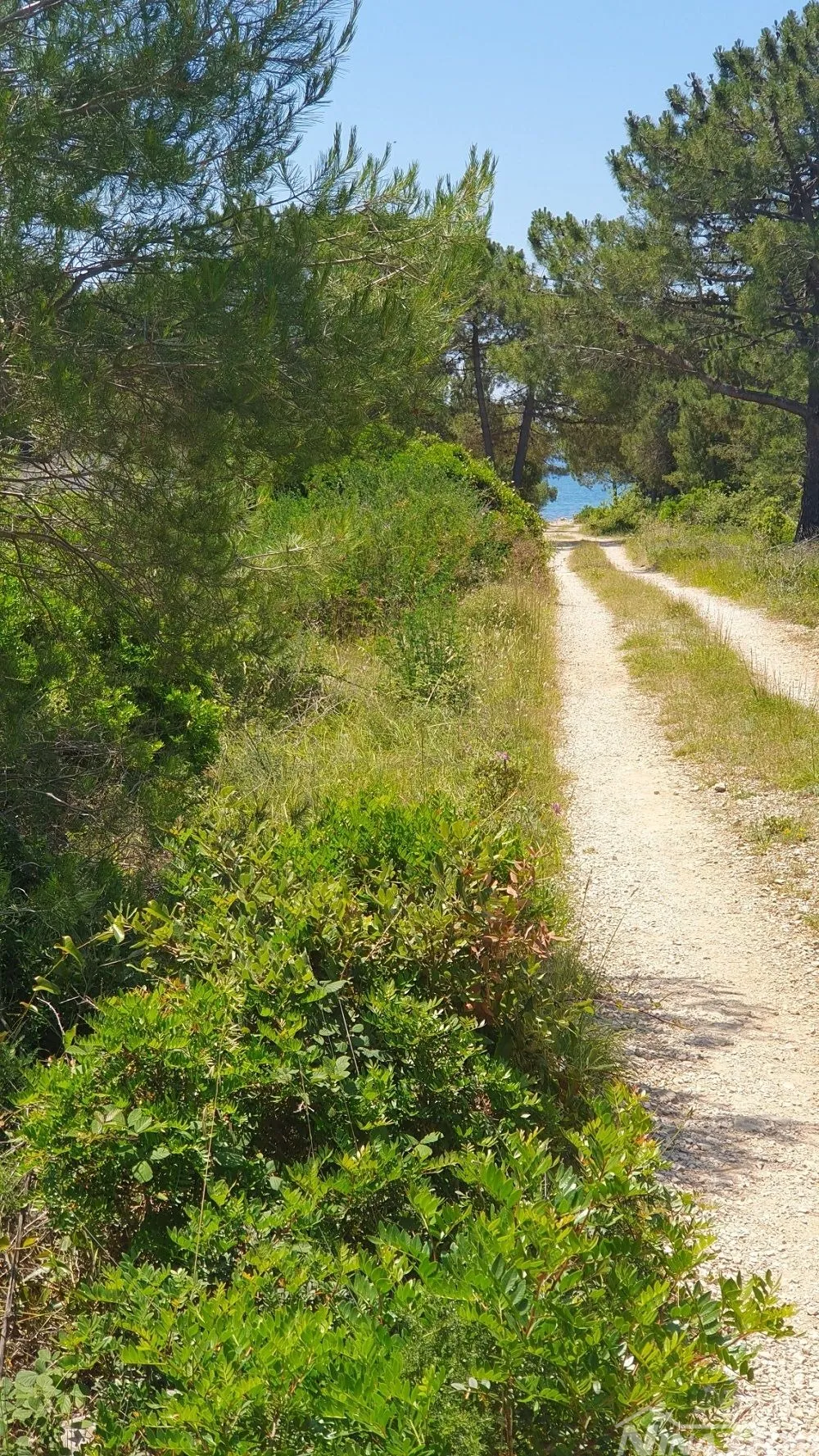 656 m2, ne izgrađeni dio građ.zone potrebna izrada upu plana - slika 3