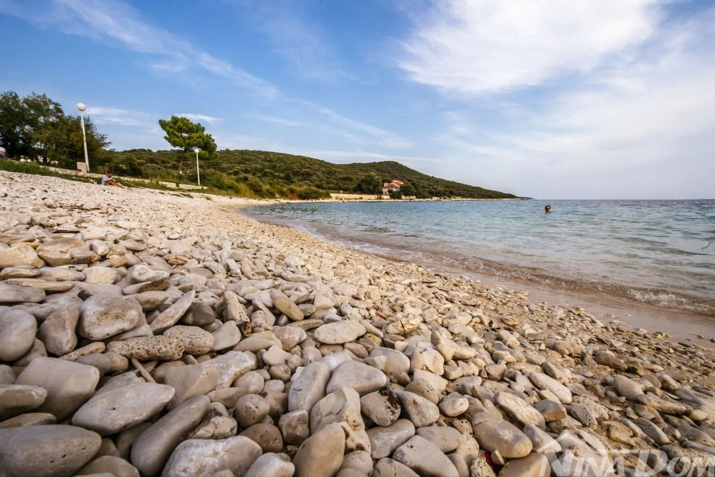 prvi red otok premuda rijetkost na tržištu - slika 6