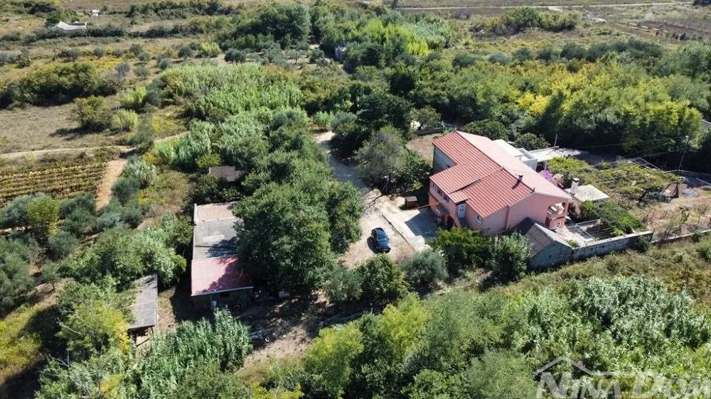 obiteljska nekretnina s lijepim maslinikom i vinogradom - slika 14