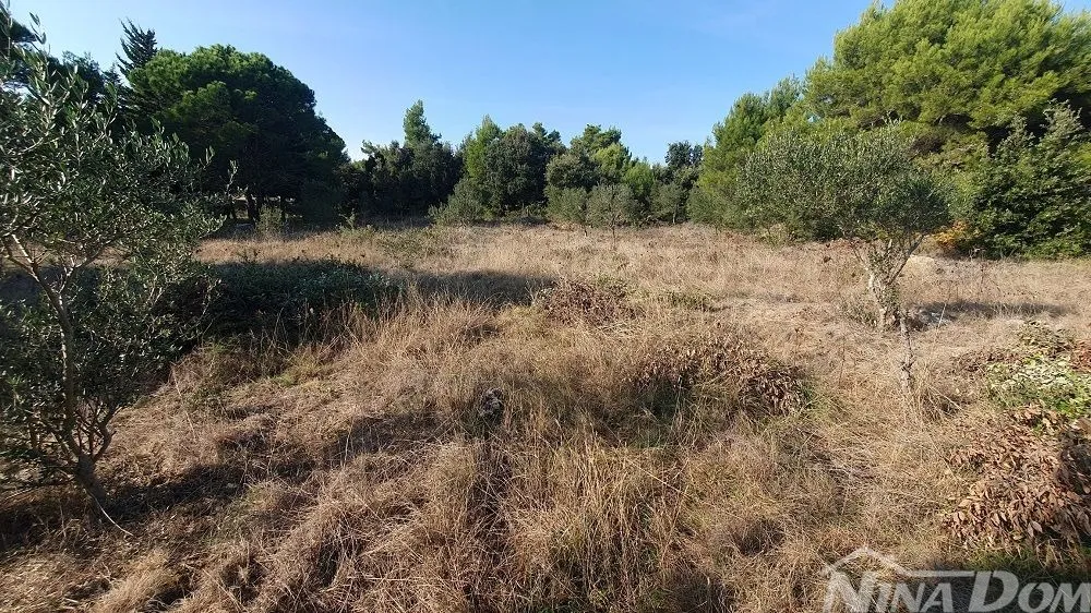 poljoprivredno zemljišta s maslinama, blizina kuća - slika 2