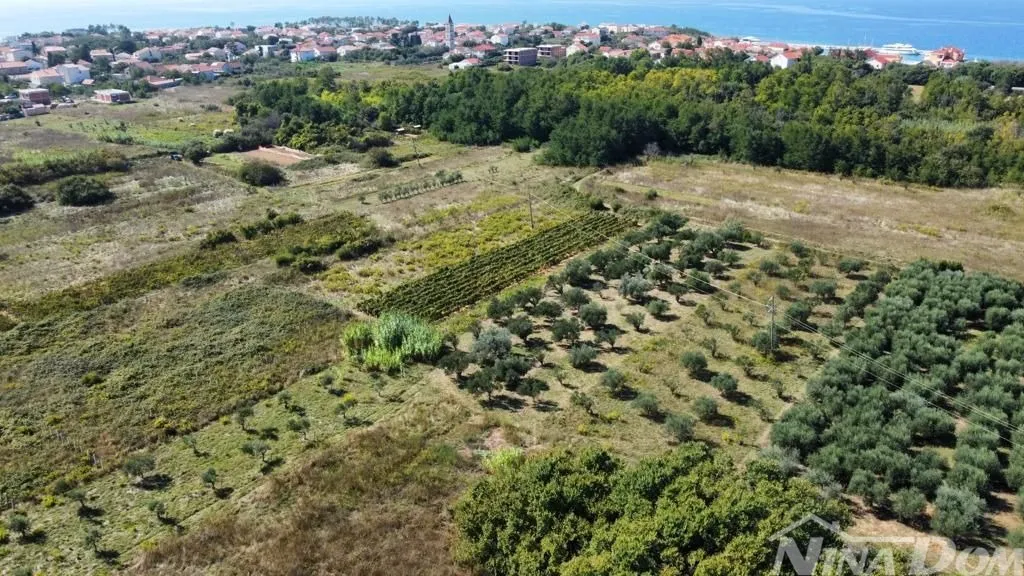 maslinik blizina centra privlaka - slika 5