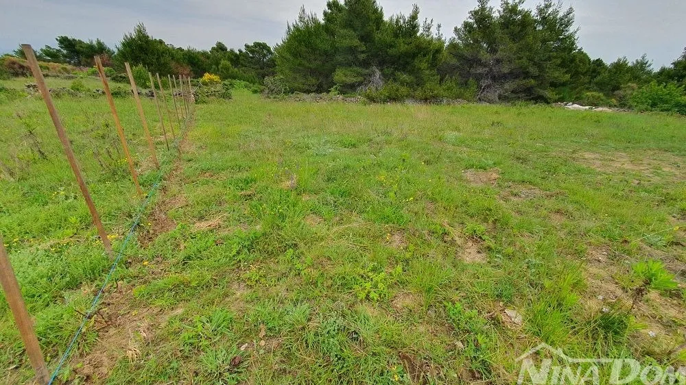 poljoprivredno zemljište, 899 m2 - slika 2
