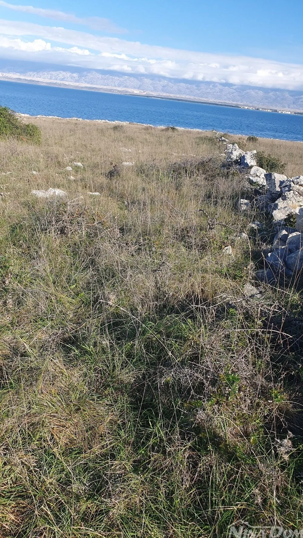 poljoprivredno zemljište 2.red od mora 2020 m2 - slika 6