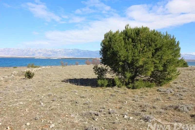 poljoprivredno zemljište u neposrednoj blizini mora. - slika 6