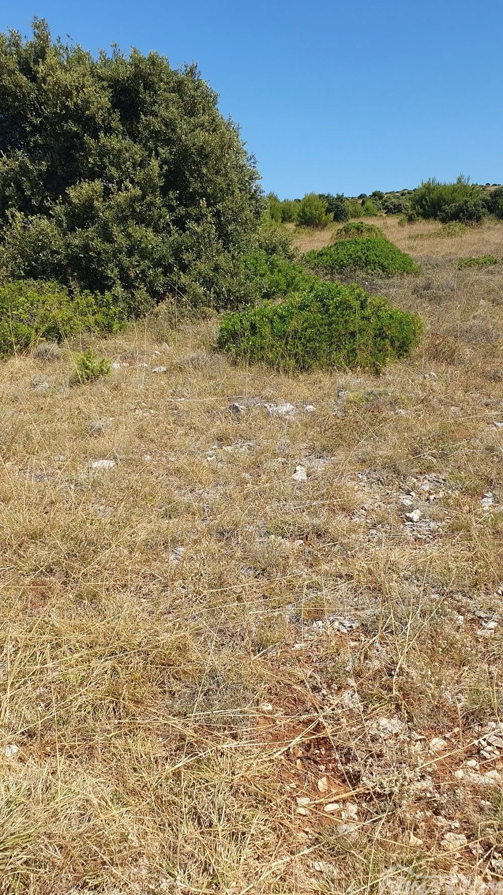 Poljoprivredno zemljište 3409 m2, 12 € / m2 Skalinice - Vir, Vir