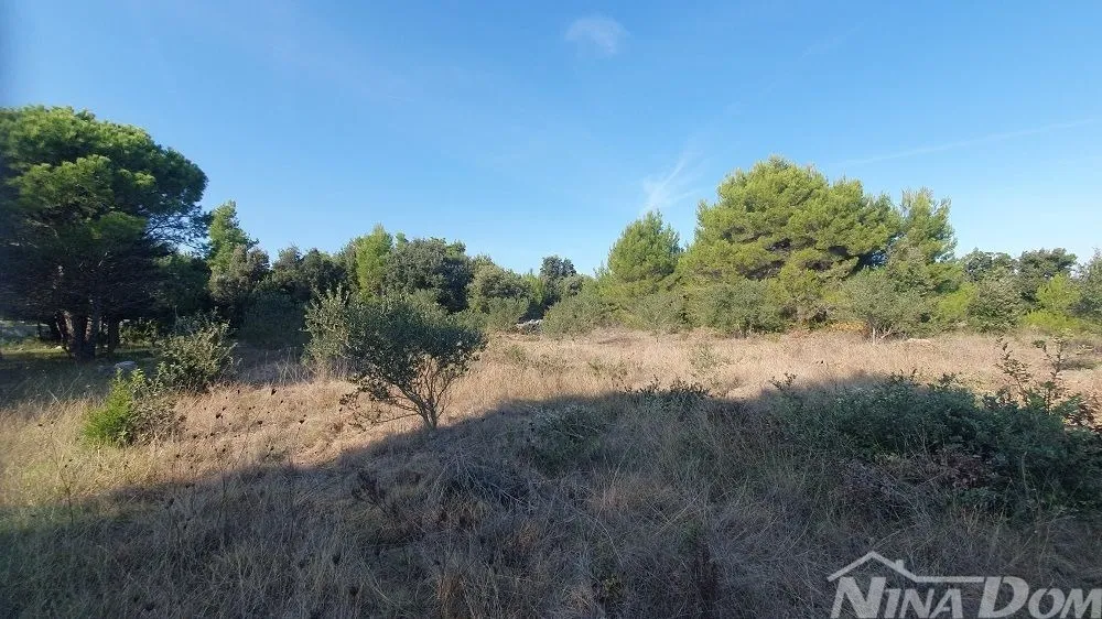 poljoprivredno zemljišta s maslinama, blizina kuća - slika 5