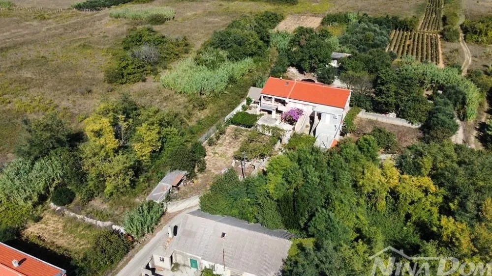 Obiteljska nekretnina s lijepim maslinikom i vinogradom - Privlaka, Privlaka