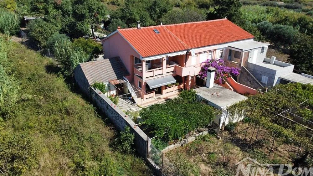 obiteljska nekretnina s lijepim maslinikom i vinogradom - slika 9