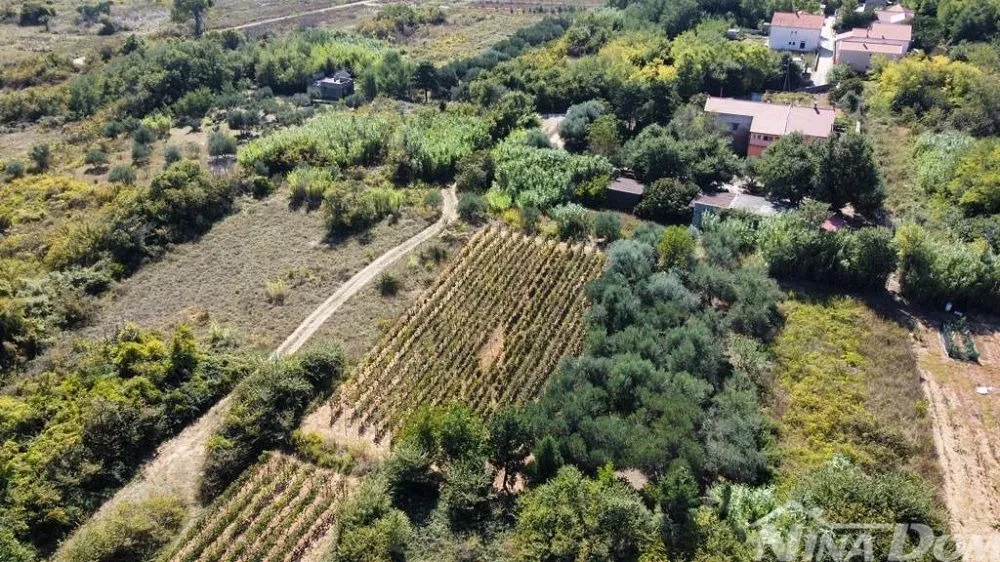 obiteljska nekretnina s lijepim maslinikom i vinogradom - slika 7