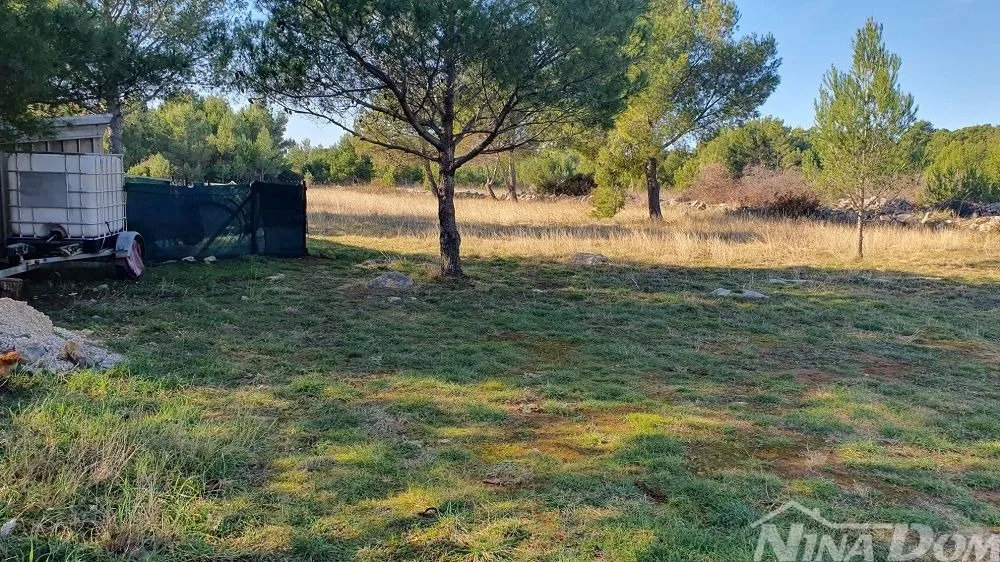 poljoprivredno zemljište s mladim maslinama 22 €/m2 - slika 7