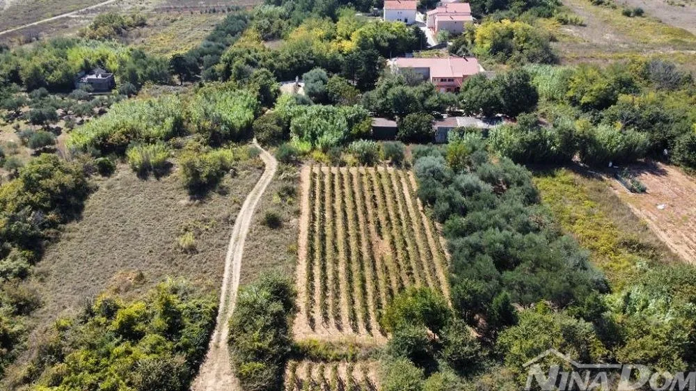 obiteljska nekretnina s lijepim maslinikom i vinogradom - slika 6