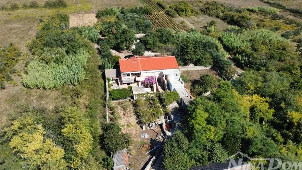obiteljska nekretnina s lijepim maslinikom i vinogradom - slika 15